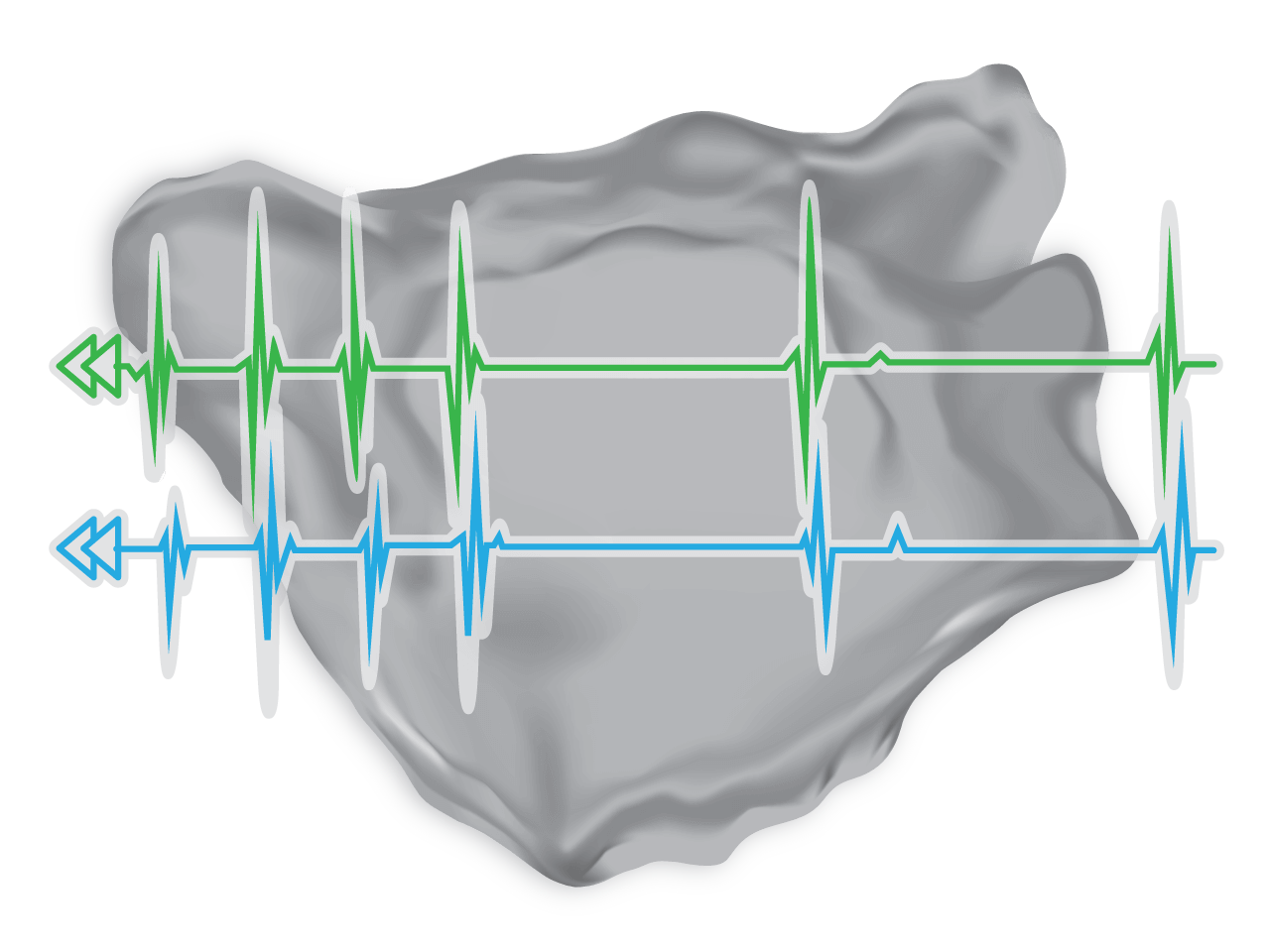 CARTOREPLAY® Module