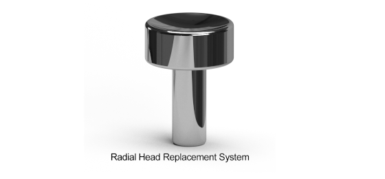 Radial Head