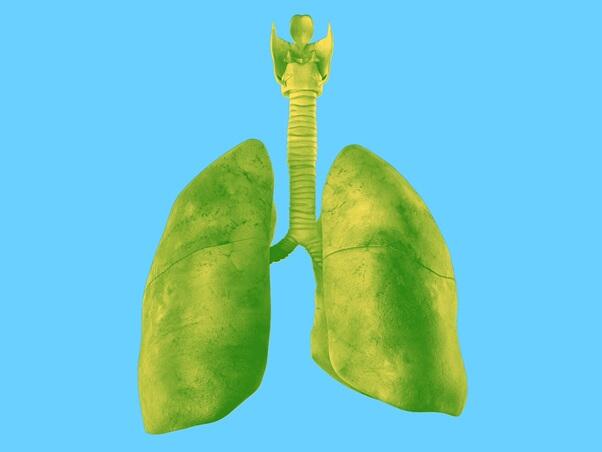 New Report from the Lung Cancer Screening European Expert Summit Makes the Case for Lung Cancer Screening to Enable Early Detection and Life-Saving Surgery
