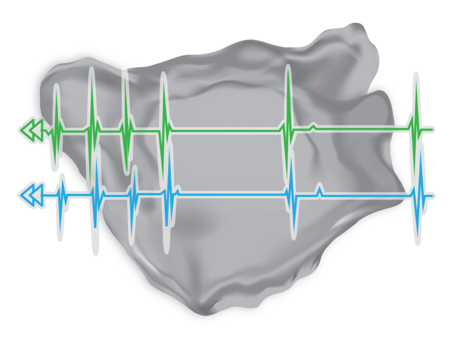 CARTOREPLAY® Module